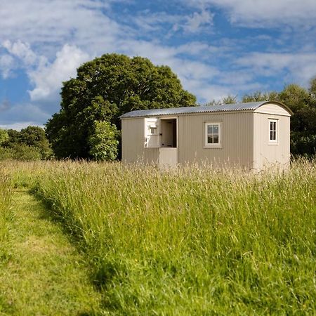 Romantic Secluded Shepherd Hut Hares Rest Southwick  Экстерьер фото