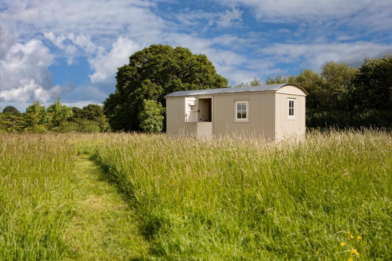 Romantic Secluded Shepherd Hut Hares Rest Southwick  Экстерьер фото
