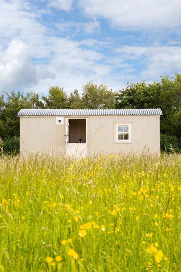 Romantic Secluded Shepherd Hut Hares Rest Southwick  Экстерьер фото
